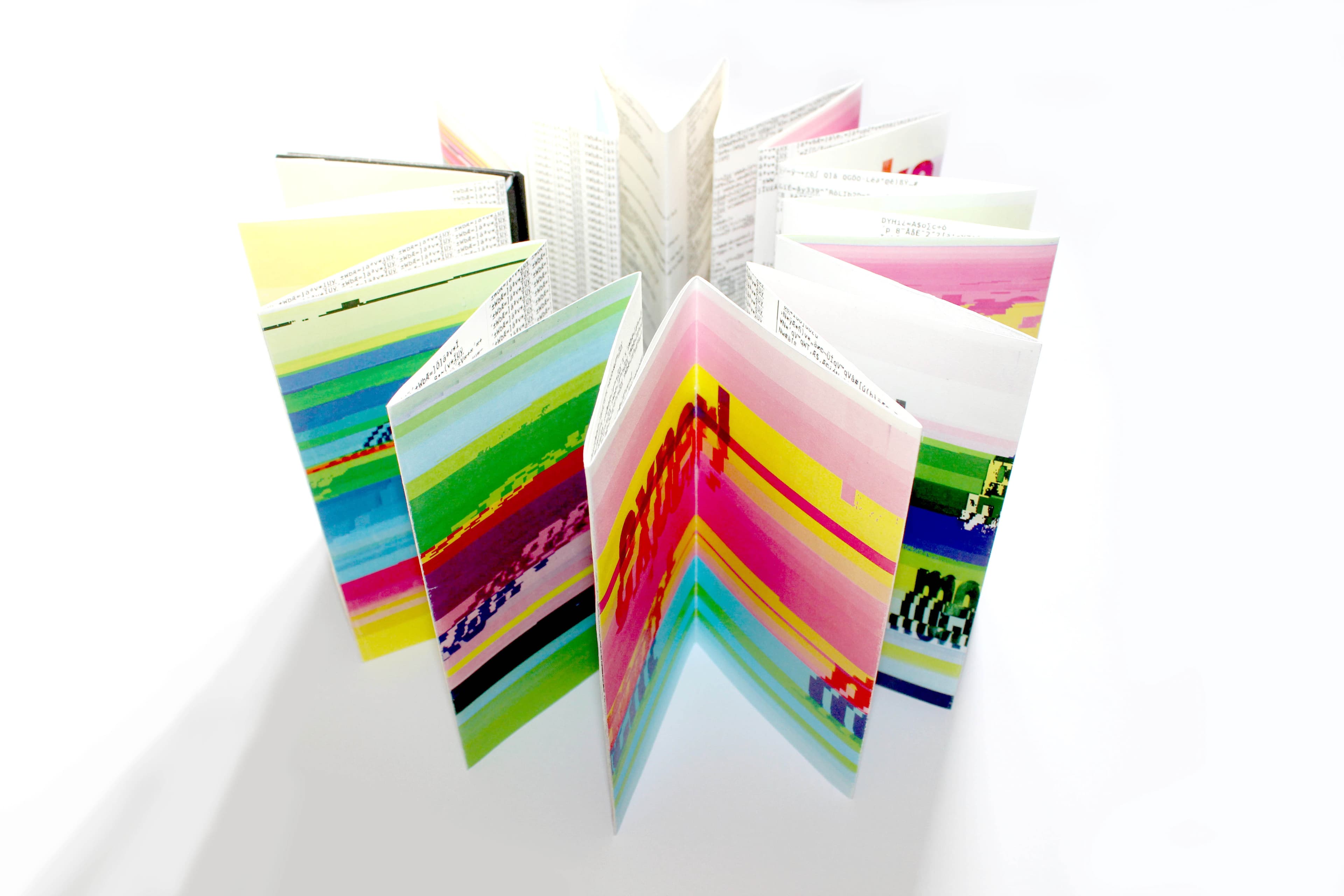 Manifesto concertina book